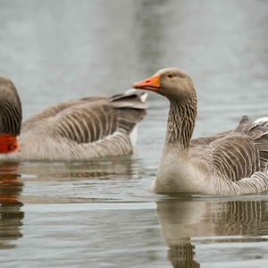 Untitled (24 Of 118).jpg